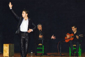  El bailaor Alberto Márquez en plena actuación.
